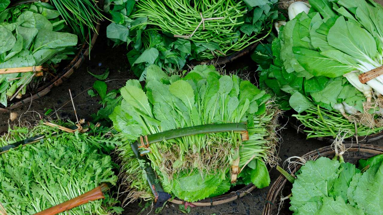 Why You Should Avoid to Eat Leafy Vegetables during Monsoon? - UltraNewsTV